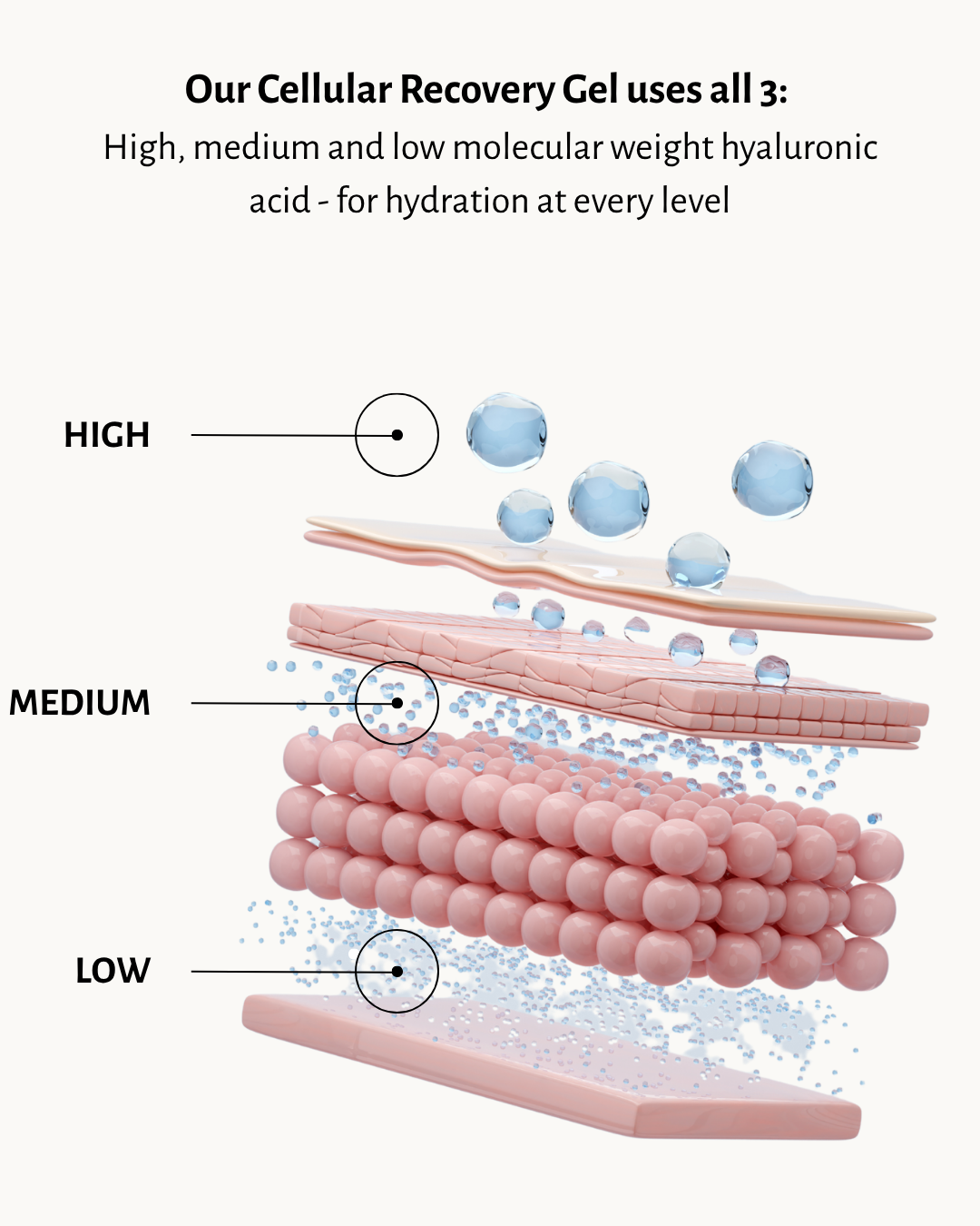 Cellular Recovery Gel with Methylene Blue & Triple Molecular Weight Hyaluronic Acid