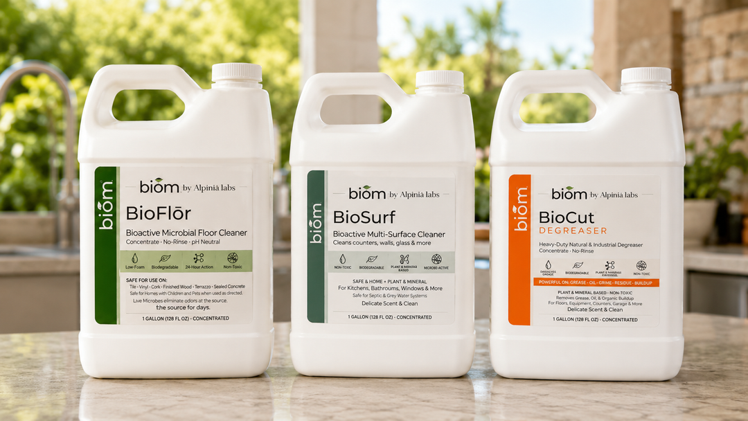 If It Doesn’t Smell Like Bleach, Is It Really Clean?