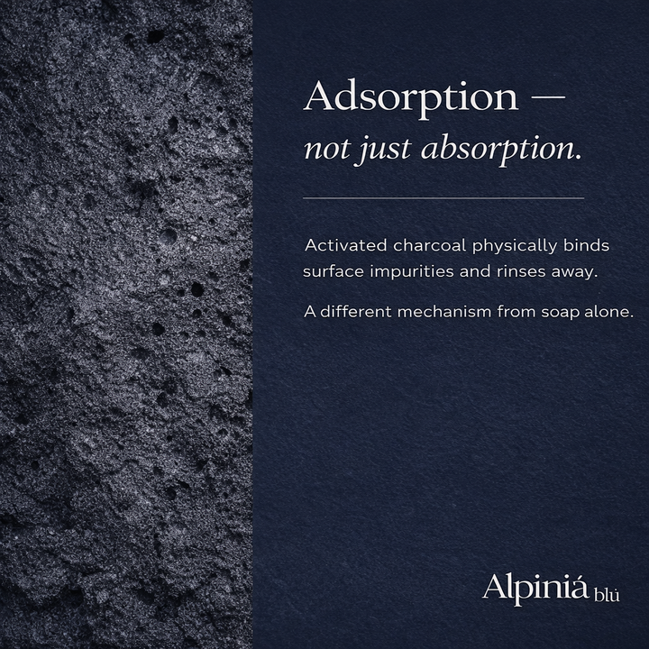 Charcoal & Methylene Blue Odor Fighting Soap Bar